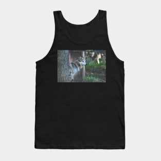 Mexican Grey Wolf Tank Top